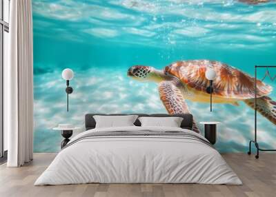 sea ​​turtle swimming underwater Wall mural