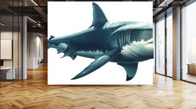 shark fish isolated on white background Wall mural