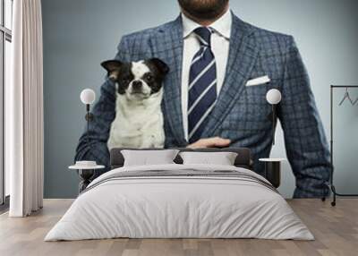 A man in a business suit with a chihuahua. Wall mural