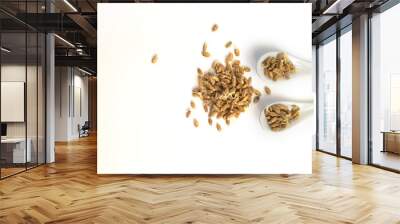 Sprouted wheat on a light background. toned Wall mural