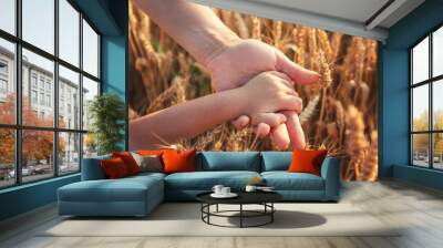 Children's and adult hands on the background of a wheat field at sunset. Traditional cultivation of cereals for the production of bread and flour. Close-up. Wall mural