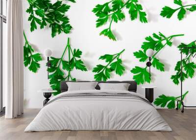 Fresh green parsley on a white background offers a simple yet visually pleasing presentation Wall mural