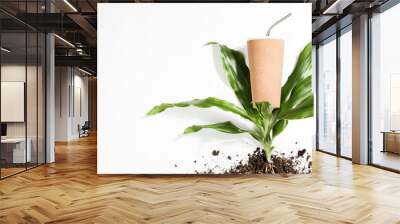 reusable eco coffee or tea cup, plant with roots in ground on white background. Sustainable lifestyle Wall mural