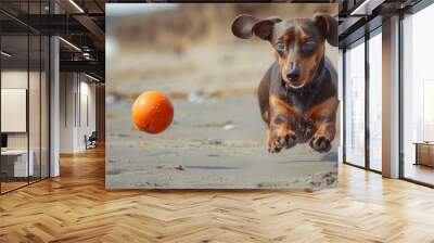 Playful dachshund chasing ball on sandy beach, 4K hyperrealistic photo Wall mural