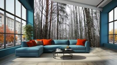 winter forest Wall mural