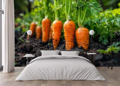 A bunch of carrots are growing in the dirt Wall mural