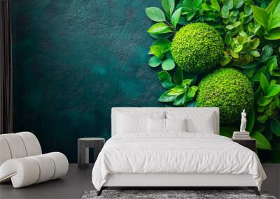 A green background with two green plants in the foreground. The plants are small and round, and they are surrounded by green leaves Wall mural