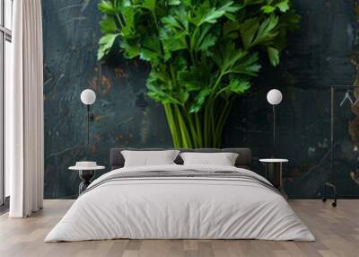 Fresh green parsley on dark background Wall mural