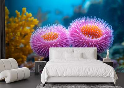 Two pink and orange sea anemones are on a rock in a coral reef. The bright colors of the anemones contrast with the blue and green of the ocean Wall mural