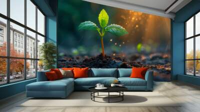 young plant growing in the morning light and green nature background Wall mural