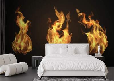 A realistic fire flame for use in design applications with a transparent background. Wall mural