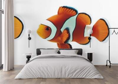 A set of clown fish isolated on a transparent background Wall mural