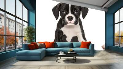 An isolated group of cute puppies on a white background Wall mural