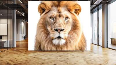 An isolated image of a lion's face with a transparent cutout on a white background. Wall mural