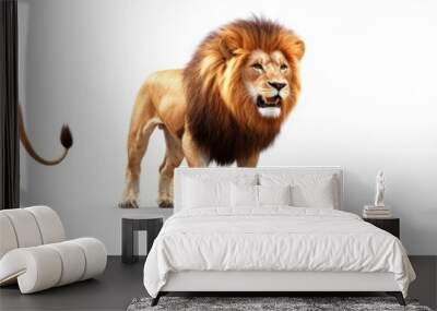 An isolated white background with a set of Lions Panthera Leo standing Wall mural