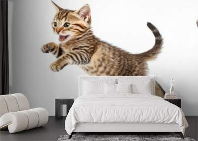 Cats jumping and playing, isolated on white Wall mural