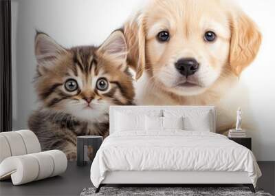 Cute kitten and puppy bonding together, friendship animals isolated on transparent background Wall mural