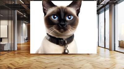 Isolated on a transparent background, this funny Siamese cat has blue eyes Wall mural