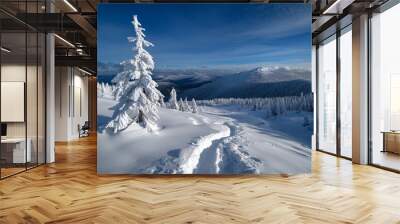 Winter mountain landscape with tall dark green spruce trees covered in snow on mountain peaks and clouds in the background. Wall mural