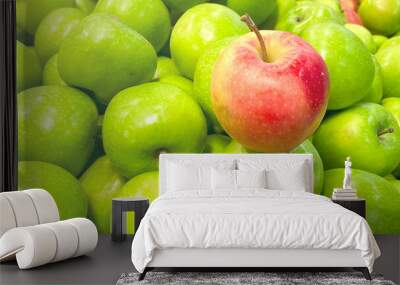 Red seasonal apple against a background of green apples. A bunch of green apples with one red apple on top. Wall mural