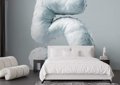 3D number 5 with airbag texture realistic modern design, soft lighting, grey background. Wall mural