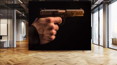 The hand presses the trigger of the gun and the flame from the shot escapes from its muzzle Wall mural