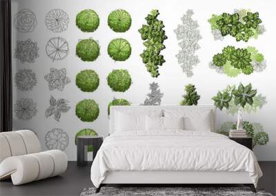 Tree for architectural floor plans. Entourage design. Various trees, bushes, and shrubs, top view for the landscape design plan. Vector illustration. Wall mural