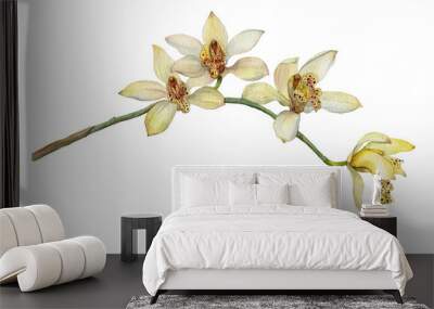 Blooming yellow orchid. Botanical illustration painted in watercolor Wall mural