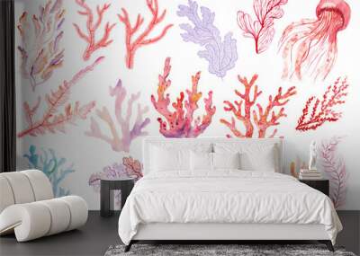 Set with coral and algae isolated on a white background Wall mural