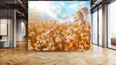 close up of a buckwheat field. Selective focus Wall mural