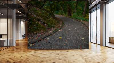 autumnal park curved cabblestone pavement road walking path way side October season natural environment space Wall mural