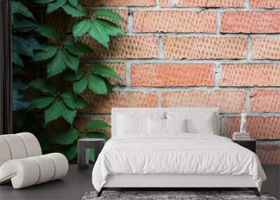 brick wall background texture and plant green leaves frame with empty copy space for your text  Wall mural