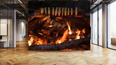 food outdoor shoot concept with soft focus zucchini on bonfire in night time Wall mural