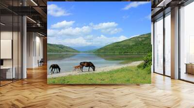 Ashigbayramli reservoir in Ismaylli. Azerbaijan. Wall mural