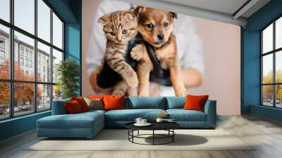 Veterinarian in black gloves with a dog and a cat in his hands Wall mural