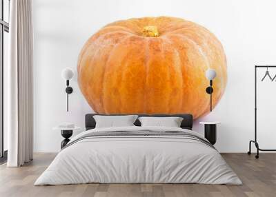 Pumpkin isolated on white background. Wall mural