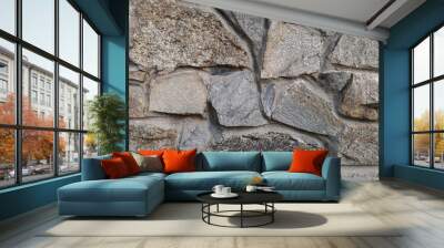 Background with large stone, texture, gray Wall mural