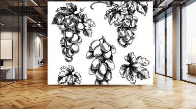 Set of hand drawn vector illustration of grape branches. Isolated black bunch of grapes, grape leaves on white background Wall mural