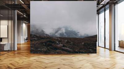 Aerial view of rocky peak of Spitz mountain in the Carpathian mountains Wall mural