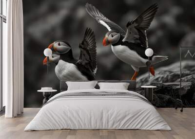 Elegant Puffins Taking Flight Wall mural