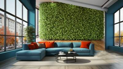 Green wall in empty room. Eco-style in interior, 3d render  Wall mural