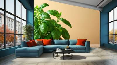 Lush basil plant in a terracotta pot with a fresh, vibrant feel against a soft beige background. Wall mural