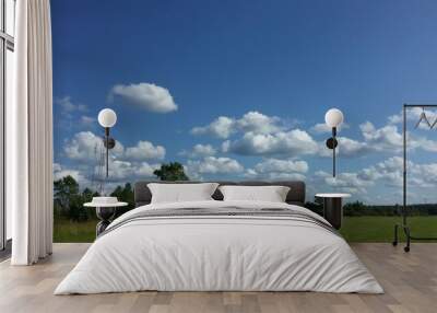 Green field and blue sky with white clouds in the countryside Wall mural