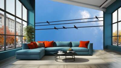 Swallows or birds sitting on electric cables against blue sky background. Wall mural