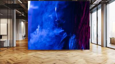 A young woman with dreadlocks smokes a cigarette in a club. Wearing black glasses, he holds a painless bat in his hands. Girl with afro pigtails in the smoke at night in neon color. Scoundrel Wall mural