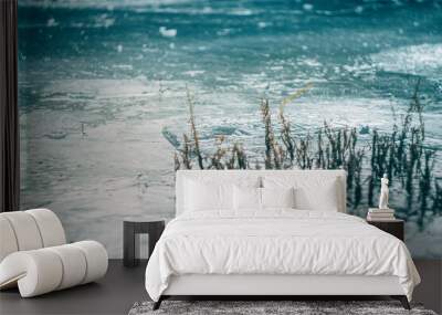 The grass grows through the ice of a frozen mountain lake. Blue mountain lake Wall mural