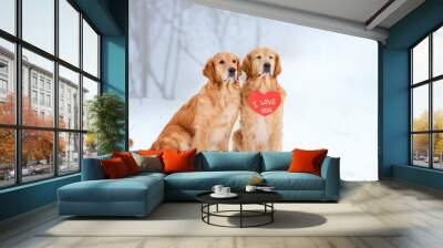 two golden retriever dogs are sitting in a field in the snow on a snowy road with a heart and the inscription I love you. Valentine's day concept. Valentine's Day Wall mural