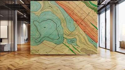 geological map as a background close-up in green colors Wall mural