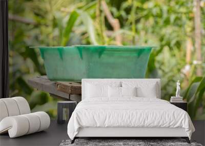 green empty bowl on the table in the vegetable garden for watering vegetables in the summer Wall mural