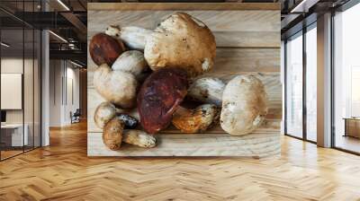 Mushrooms lie on wooden boards. White mushroom. Popular white boletus. Cooking delicious organic mushrooms. Porcini mushrooms close up. Wall mural